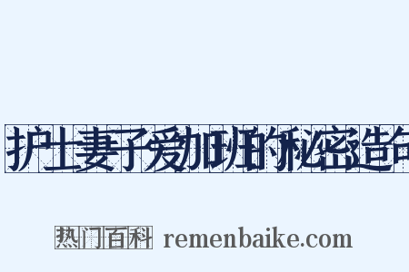 护士妻子爱加班的秘密造句是什么意思的图片